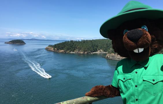 Bagley, our mascot, standing on a bridge.